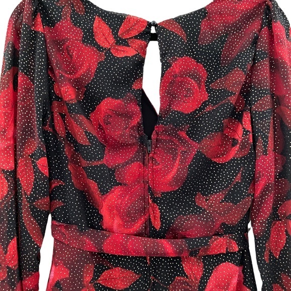 NWT City Triangles Rose Dress Sz 3 - Picture 3 of 7